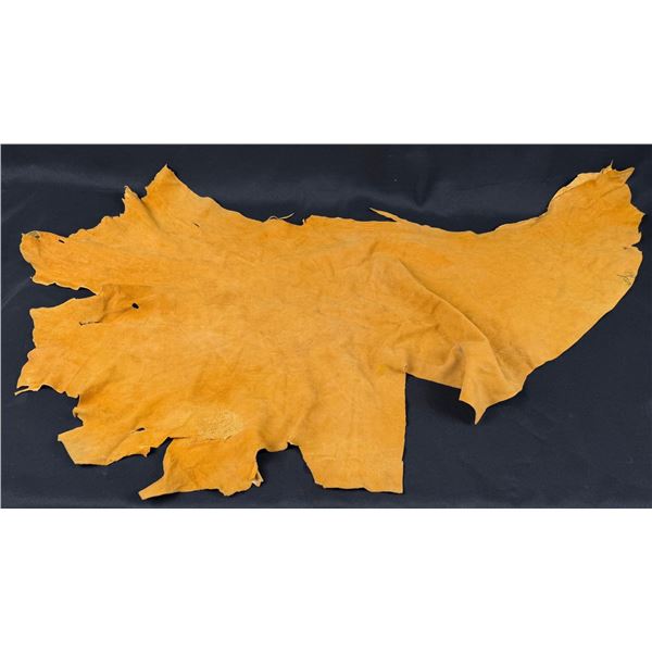 Montana Taxidermy Tanned Leather Elk Hide