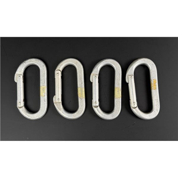 Group of 4 Chouinard Equipment Climbing Carabiners