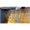 Image 2 : LOT DE 16 VERRES A CLAMATO