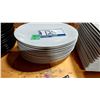 Image 2 : LOT DE 11 ASSIETTES OVALES 13.5”X10”
