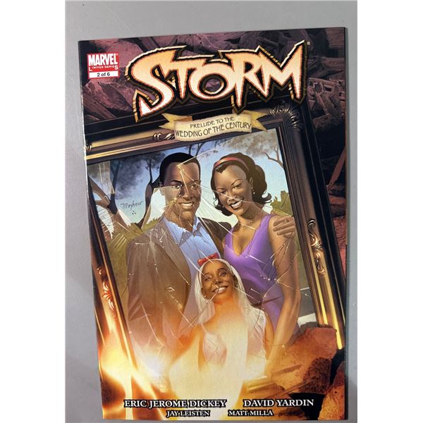 Storm #2 (2006) Prelude to the Wedding