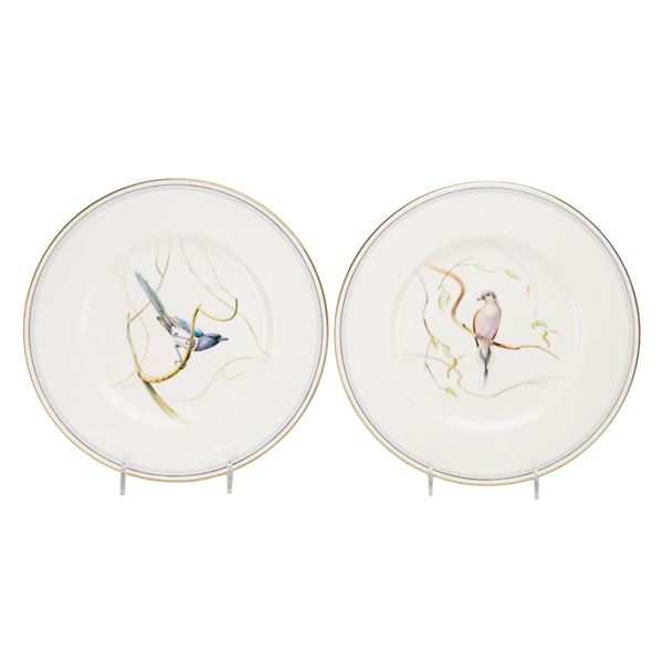 2pc Wedgwood Bone China Bird Plates Designed by Glynn Heywood