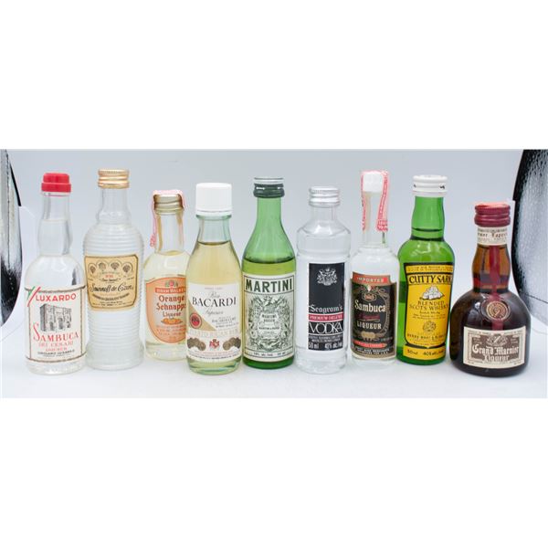 LOT OF 10 ASSORTED MINI BOTTLES