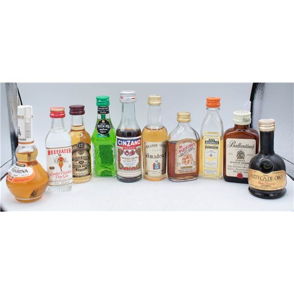 LOT OF 10 ASSORTED MINI BOTTLES