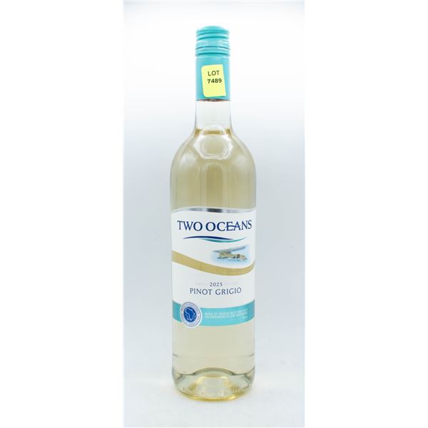 VINTAGE 2025 TWO OCEANS PINOT GRIGIO 750ML 12%