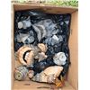 Image 3 : Woods Hex Dome Screen House, Canvas Cooler, &