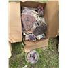 Image 1 : Amethyst and Quartz Mineral Specimens