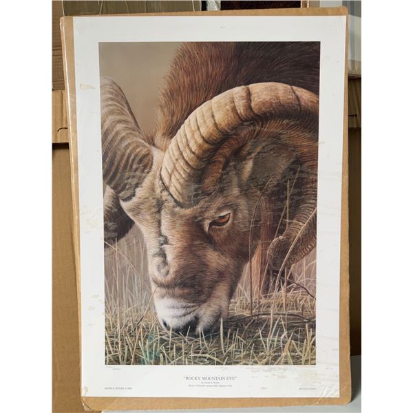 David N. Kitler Rocky Mountain Eye Print