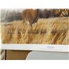 Image 3 : John Bennett "Fence Line" Signed Print