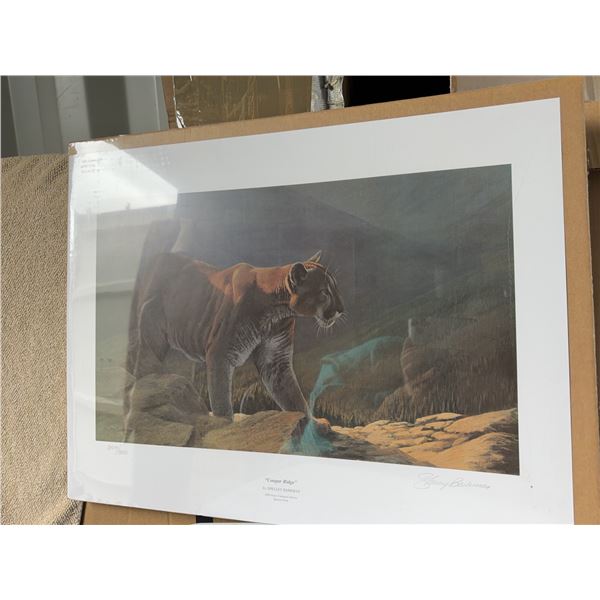 Cougar Ridge Signed Art Print by Barkman