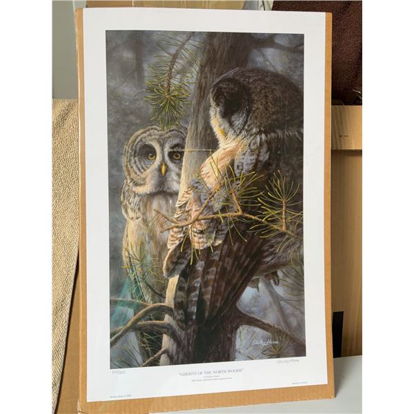 Shelley Haase "Ghosts of the North Woods"