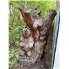 Image 1 : Carved Wooden Sculpture of Two Bears on Tree