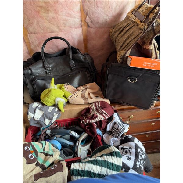Pet Accessories and Bags Lot