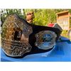 Image 3 : 2013 UFC Championship Replica Belt with Case