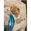 Image 3 : Decorative Glass Sculptures, Coral, and Celestite
