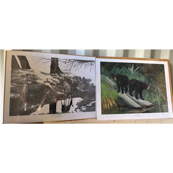Limited Edition Prints by Owen Garratt and Howard Coneybeare