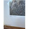Image 3 : Limited Edition Prints by Owen Garratt and Howard Coneybeare