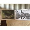 Image 1 : Two Limited Edition Wildlife Prints by Howard Coneybeare and Owen Garratt