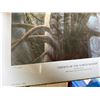 Image 3 : Shelley Hease ˜Ghosts of the North Woods Signed Print