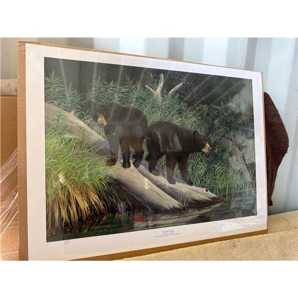 Howard Coneybeare Signed Print 'Double Trouble'