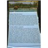 Image 3 : 2014 Canada $100 Fine Silver 'Grizzly' Coin, 32.15g, Box & COA