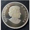 Image 6 : 2014 Royal Canadian Mint $100 Fine Silver Coin Majestic Bald Eagle 32.15g