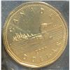 Image 3 : 2000 Canada Polar Bear Specimen Coin Set with COA