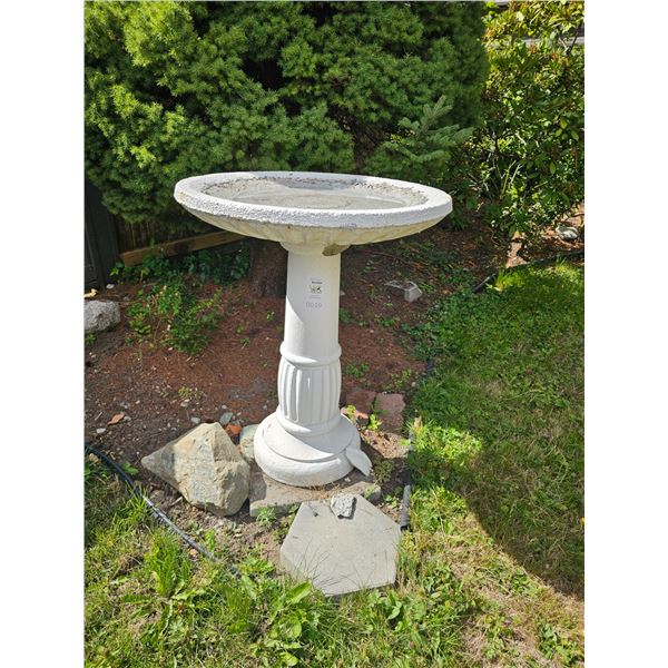 Bird Bath  A