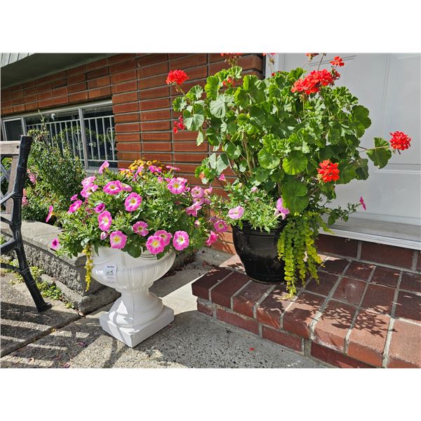 Plant Containers A