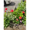 Image 4 : Concrete Plant Pot A