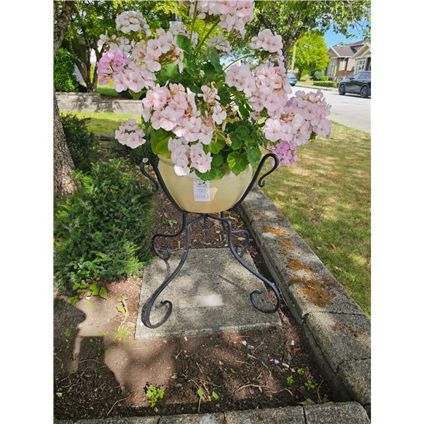 Plant & Plant Holder A