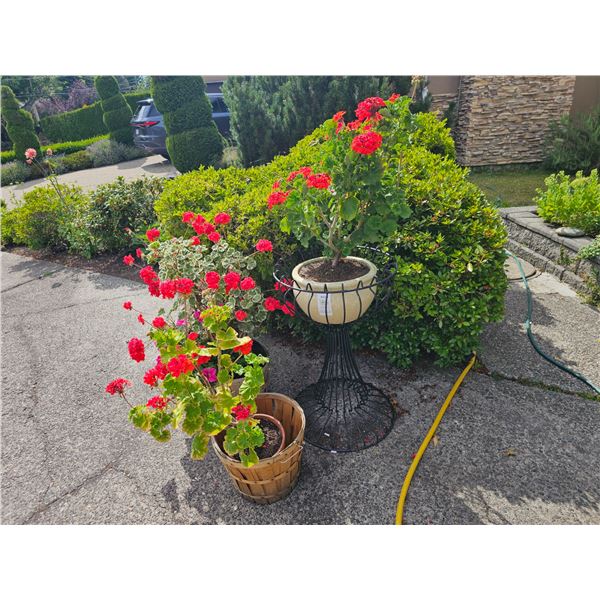 Plant Containers A