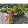 Image 1 : Plant Containers A