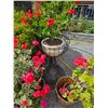 Image 5 : Plant Containers A