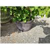 Image 2 : Containers With plants A
