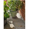 Image 4 : Containers With plants A