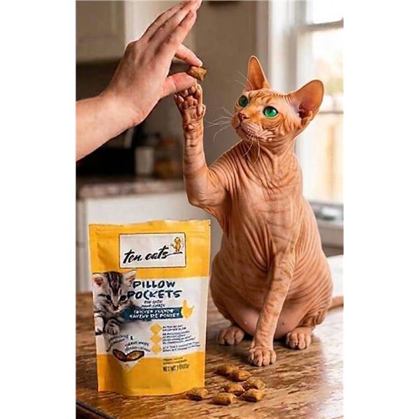 Ten Cats Pillow Pockets Cat Treats, 6 Bags