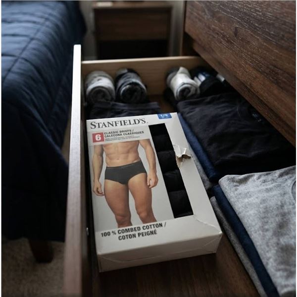 Stanfield's Classic Briefs 6-Pack L/G