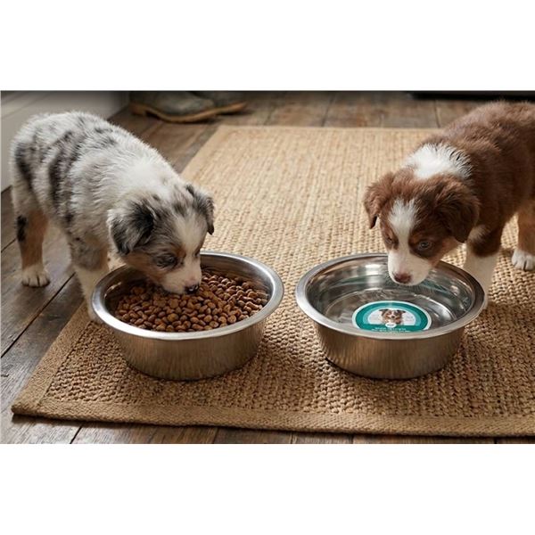 1.5L Stainless Steel Dog Bowls, Set of 2