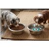 Image 1 : 1.5L Stainless Steel Dog Bowls, Set of 2