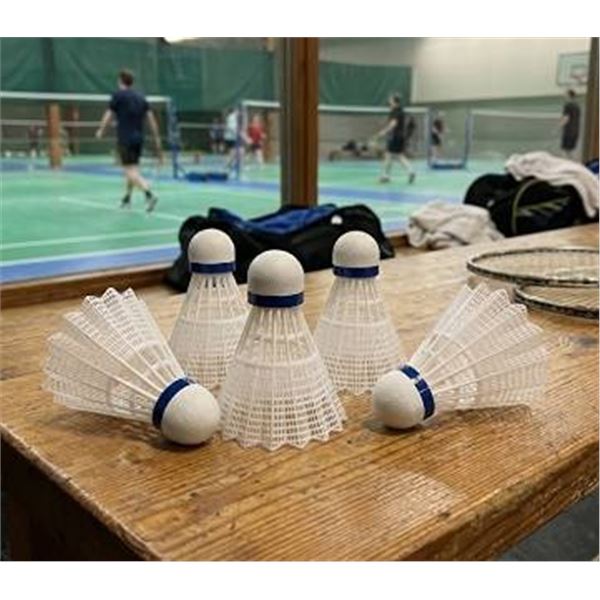 Wilson Championship Nylon Shuttlecocks