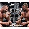 Image 1 : Perfect Choco Crave Diesel Protein Bars Box