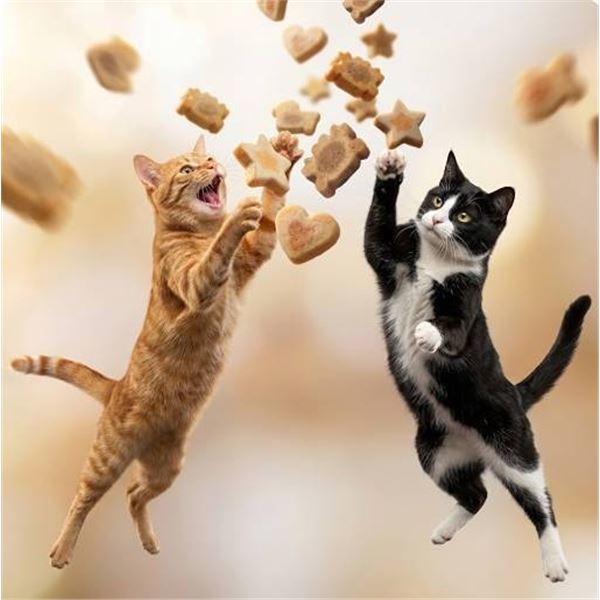 Catit Creamy Bitz Cat Treats Mega Mix 24 Pack