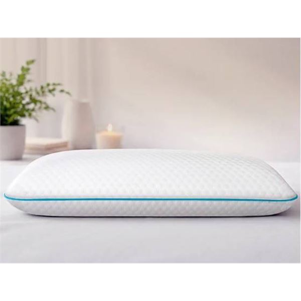 Martha Stewart Memory Foam Pillow Queen
