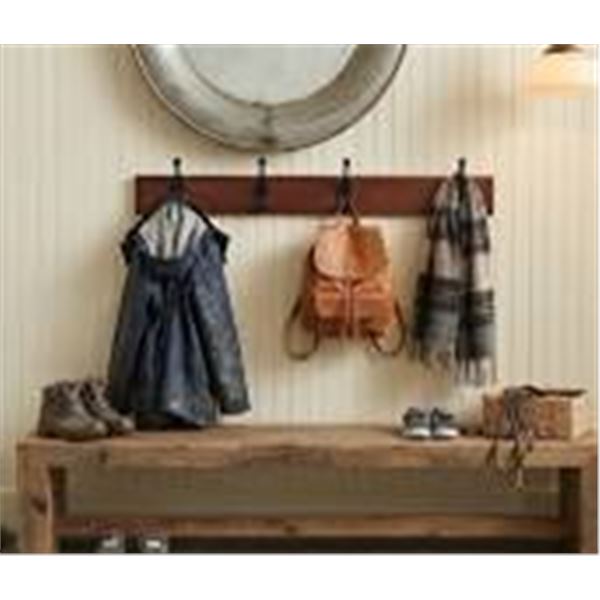 Amazon Basics Wall Mounted Coat Rack
