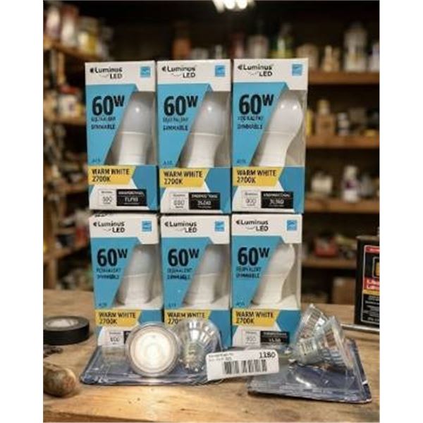 Luminus LED 60W A19 Bulbs and GE Reveal LEDs