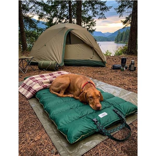 Green Quilted Outdoor Roll-Up Blanket