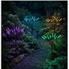 Image 1 : Aurora Solar Firefly Light Set, 4-Pack