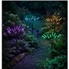 Image 1 : Aurora Solar Party Lights, 4 Pieces