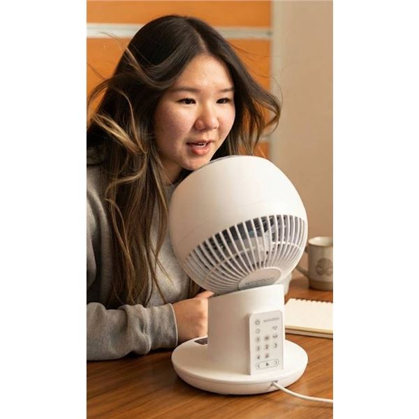 Iris Ohyama Woozoo Globe Fan